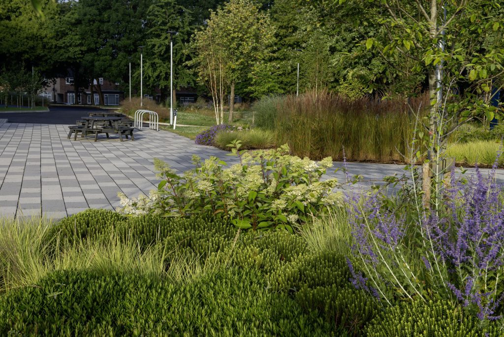 Merstham Park school main plaza planting