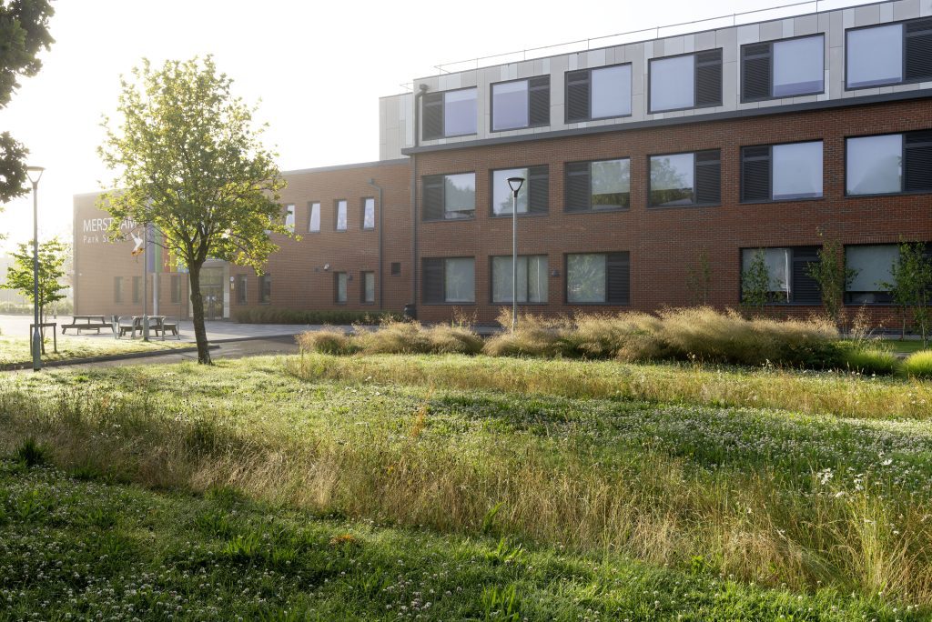 Merstham Park school frontage wildflower bands