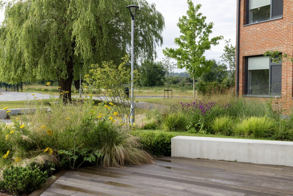 courtyard stage backdropped by planting and wildflower edge to playing fields